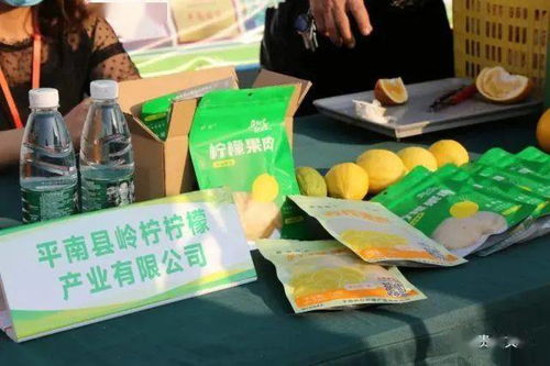 广西贵港市家庭农场协会成立大会暨2021年贵港市特色农产品直播带货助力乡村振兴活动成功举办