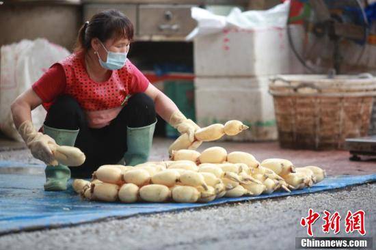 扬州主城区30个农贸市场恢复经营