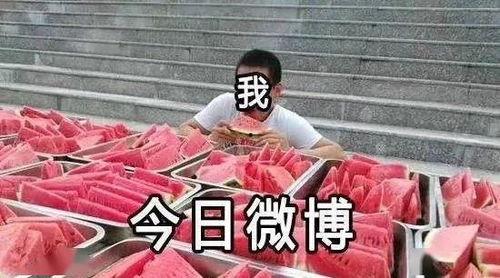 全民吃瓜,揭秘娱乐圈幕后故事