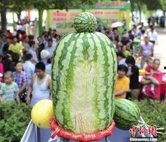 热门大瓜每日大赛