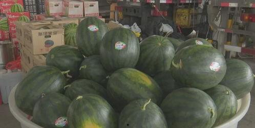 今日必吃大瓜每日吃瓜fun 热门大瓜每日必吃大瓜,跟随“今日必吃大瓜每日吃瓜fun”探索热门大瓜